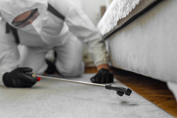 Professional Bed Bug Control technician working in West Kennebunk, ME