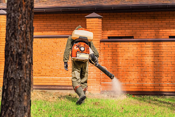 Trusted Bed Bug Control service in West Kennebunk, ME - Nex Pest Control